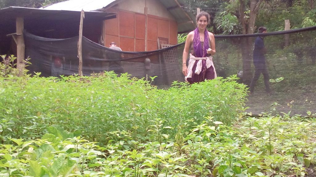 The Local Story Resort Ban Mon Talaeng Exterior foto